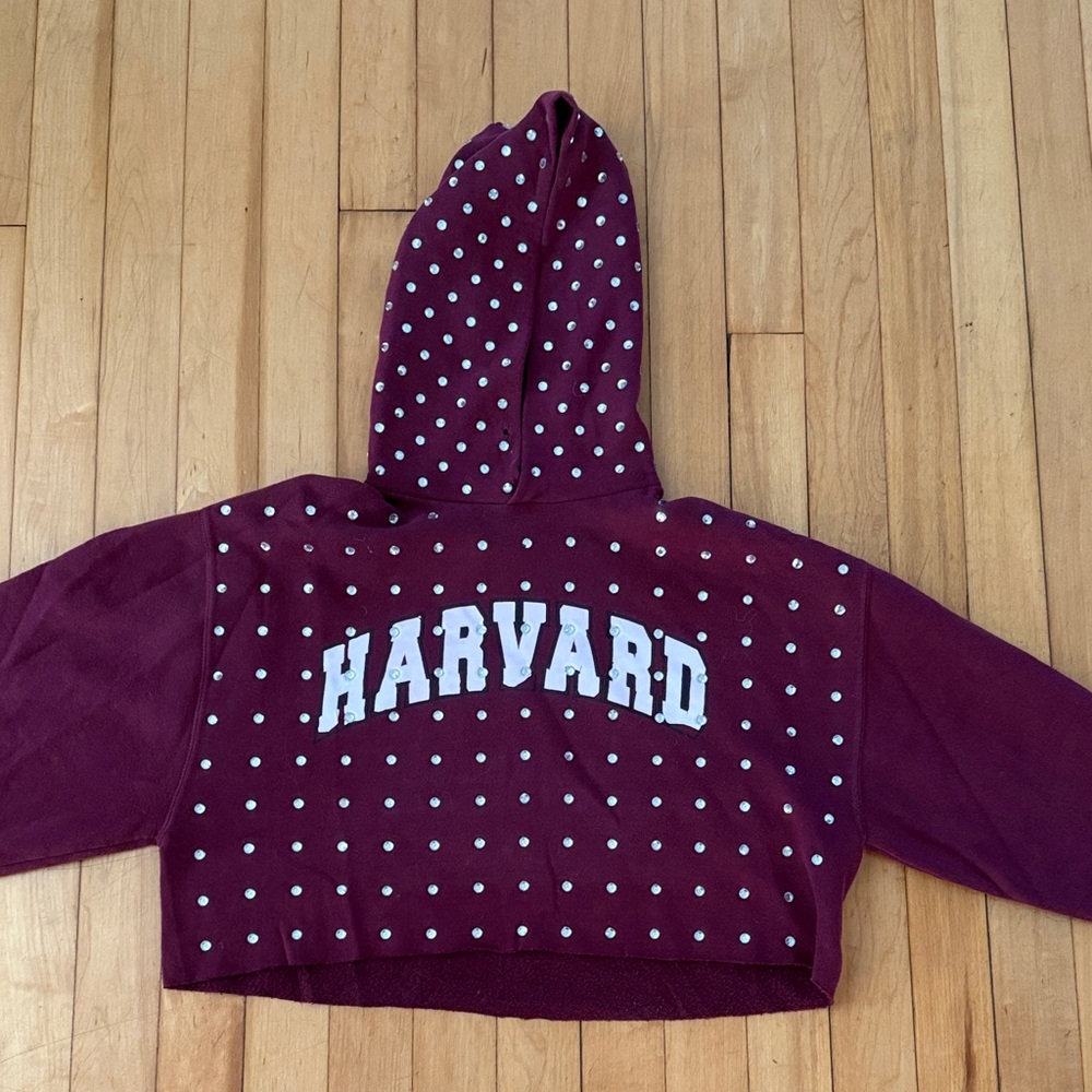 Harvard Bedazzled Cropped Hoodie